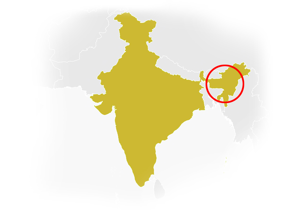 Assam map