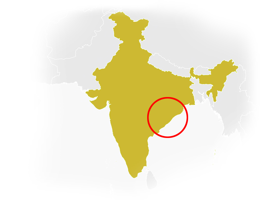 Odisha map